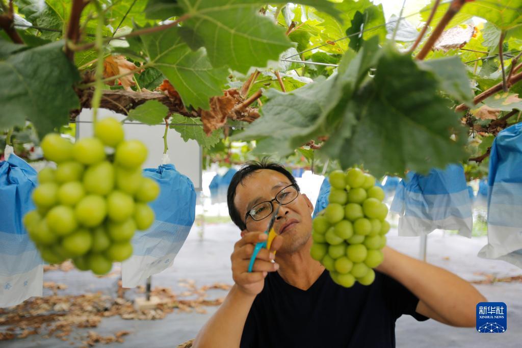 博狗游戏开户